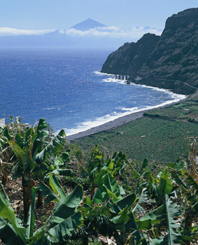 La gomera Hermigua