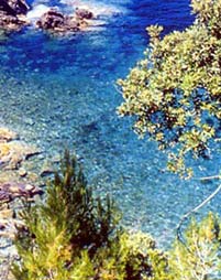 Ile d'Elbe, Italie Toscane Méditerranée, séjours linguistiques Desr en vacances